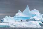 Antarctica, Yalour Islands. Adelie penguins on iceberg. Art Print